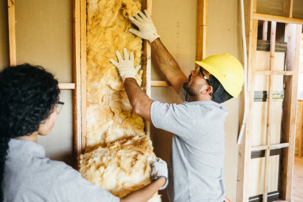 Best Home Insulation Services  in South Fallsburg, NY
