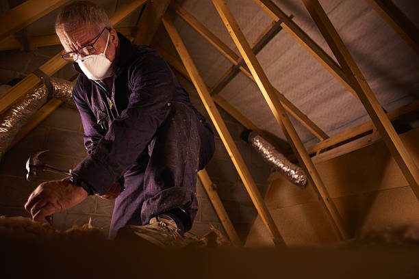 Best Garage Insulation Installation  in South Fallsburg, NY
